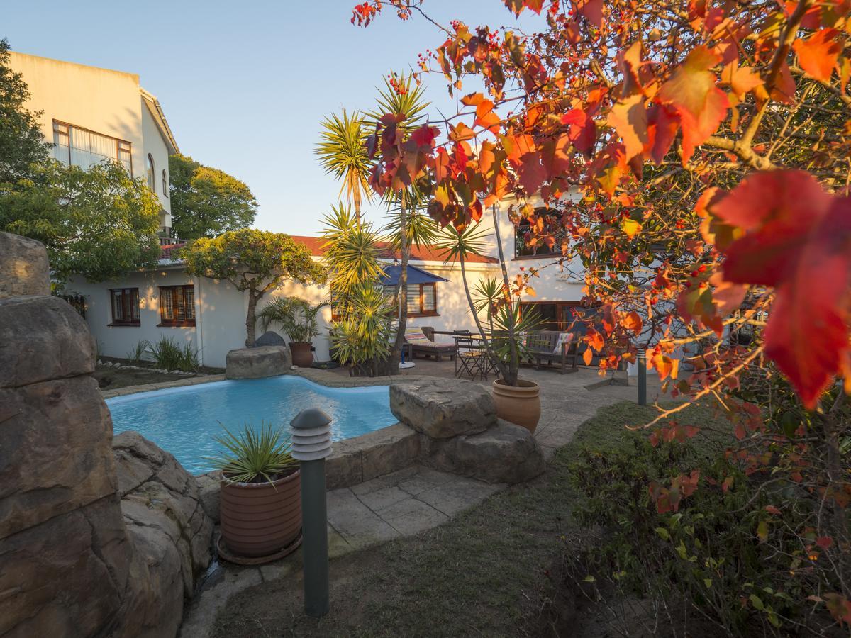 Blue Oyster Bed And Breakfast Knysna Extérieur photo